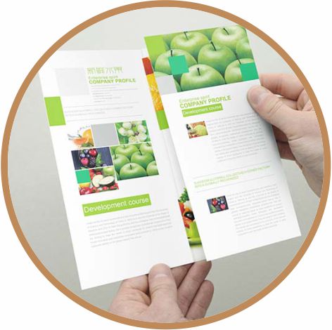 Brochure / Folded Flyer Printing